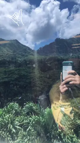 #Hawaii #vibes #oahu #rebelution #rebelutionmusic