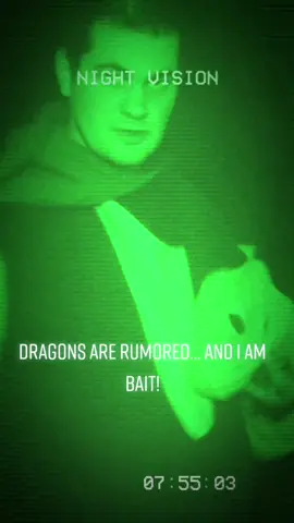 apparently...  this was against my volition! I want to befriend dragons not betray and anger them! also look in br crnr #foryou #2020 #dragons #dragon
