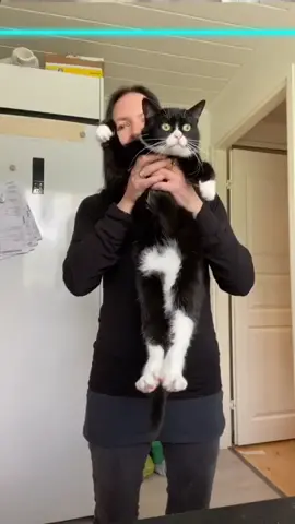 #TimeWarpScan #cat #catsoftiktok #viral #foryou #trending