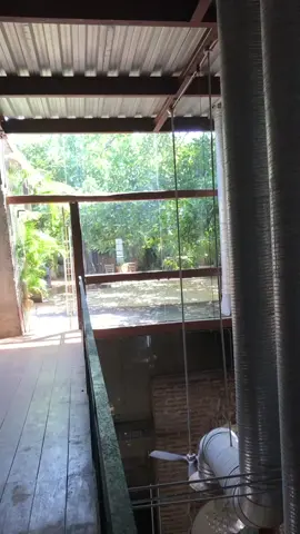Mini vlog