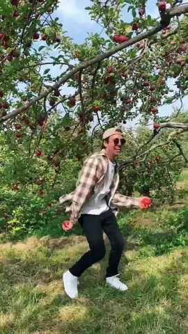 It took me so many tries to catch the apples 😅😅 #applepicking #fyp #foryou #dancer