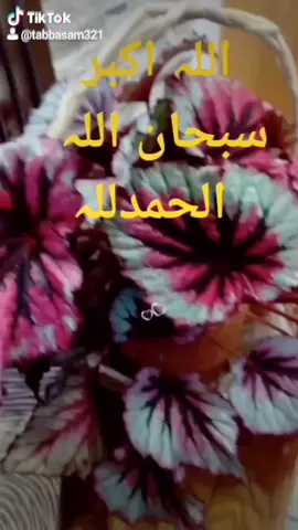 #allah #muhammad #allahu #hasbirabbijallalah #tasbien #foryou #foryoupage #duet #fyp #trending #islamic_video #😘🥰😍 #❤️ #💞🕋💞 #🌹💕 #❤️💕 #☝🏽