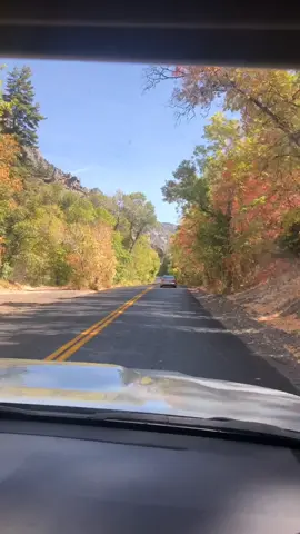 Drive up the canyon to see the leaves changing🍁 #beaUtiful #fall #itsokaytonotbeokay