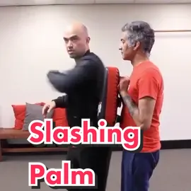 Slashing palm #martialarts #wingchunkungfu #wingchun #kungfu #internalmartialarts #internalkungfu