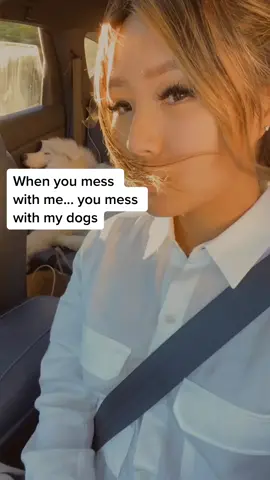 Watch out... #dogchallenge #messwithme #dogsoftiktok