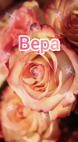 #веранадеждалюбовь #видеооткрытка