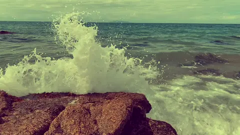 Please go follow my friends if you want there names are  @...simp_for_monox @clapxd_you #foryou#aesthetic#water#viral#satisfying