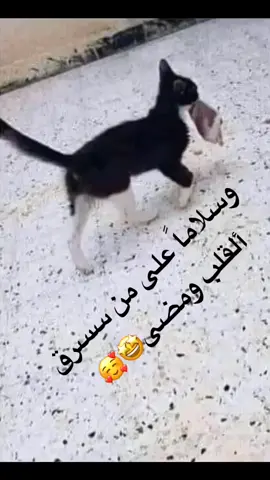 #😅🤣🤣🤣