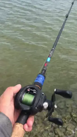 I LOVE SALTWATER FISHING 🎣 #salt #saltwater #fishing #Outdoors #sport #fyp #fypシ #foryoupage #xyzbca #foryou #4u