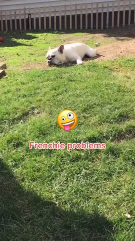 #VoiceEffects #frenchiesoftiktok #frenchie #mommy