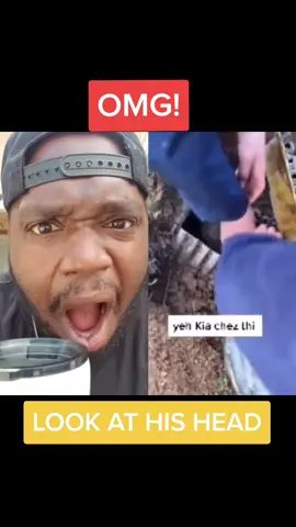 #duet with @zamarudmalkani7 Omg! look at this. #foryoupage #fyp #foryou #omg #tiktokpakistan