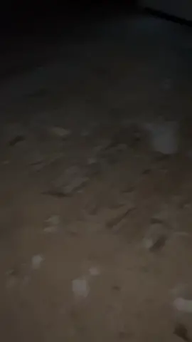 For bidden cotton candy￼