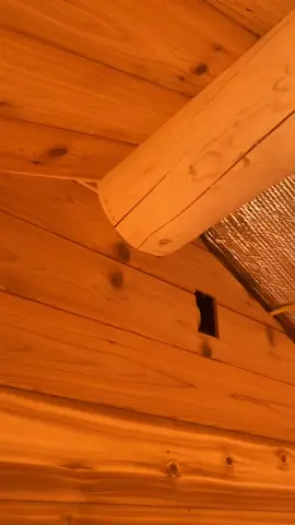 Sauna Project Update #alaska #sauna #familyproject #thisismyalaska