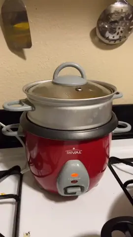 I think I need a new Rice Cooker. #fyp #GhostMode #xyzbca