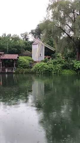 A rainy day at Disney is still better than home. Poncho or umbrella? #magickingdom #disneyworld #disneyparks #waltdisneyworld #wdw #disney #rain