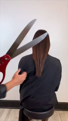 I think we like big scissors better ✂️✨ #Boo #BBMAs #FootlongShuffle #haircut #fyp #hair #salon #fall