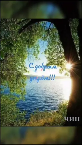 С добрым утром!#врекомендации #доброгоутра #прекраснаямузыка #природа