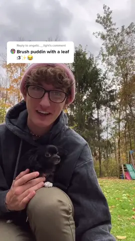 Reply to @angelic.._.light Whaaa 😳❤️ #foryou #foryoupage #feature #featureme #pets #dogs #tiktok #ImJealous