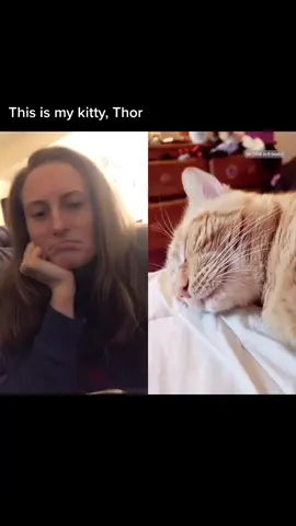 #duet with @failytales more #Thor videos coming soon :) #catsoftiktok #fyp #cute #cat