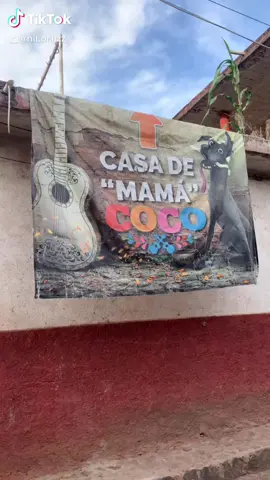 Creo que me borraron el video de mamá coco 🥺fui a visitarla , le gusta que la visiten