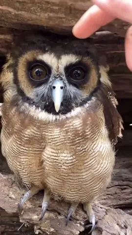 🥰🥰