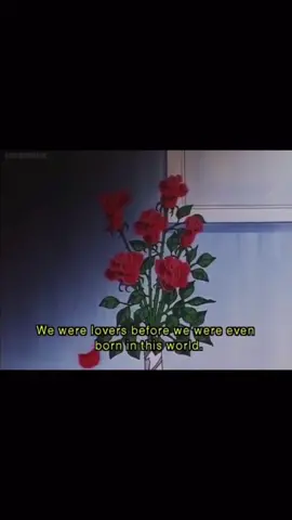 This destroyed me as a kid ☹️ #sailormoon#usagi#mamoru#sad#Love#anime#animethings#weeb#otaku#fyp#foryou#foryoupage#4u#xyzbca