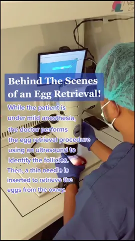 @reproductivemedinstitute #eggretrieval #eggfreezing #eggcellent #fertilitydoctor #fertilitytreatment #ivf #ttc #ttccommunity #embryologist #embryo