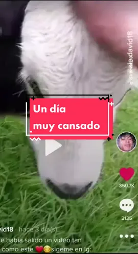 ❤Tu 2@ te debe una vaca // sigeme en Instagram: @ale.david_18 pasan muchas cosas ai no te lo pierdas🥺❤🎉#CapCut #felizfeliz #campo #animales09