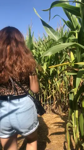 Went through a maze and these were my BFs comments the whole time 😂 #maze #adventure #FallDIY #notlost