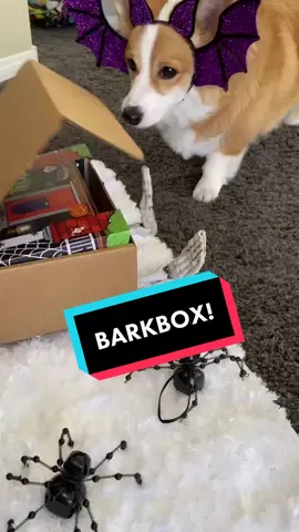 We got a free @barkbox toy in our delivery! You can too when you use the link in our bio! #barkbox #barkboxday #doggyanthem #ad
