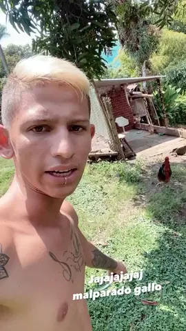 VerificadoJajaja gallo malaparado me hizo correr jajaaj