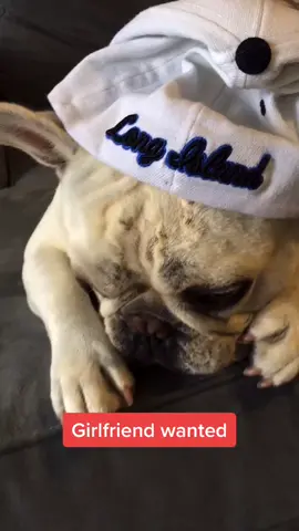 #VoiceEffects #dating#girlfriend#lonely #funnyvideos #doggy #feedme #dogproblems #helpme