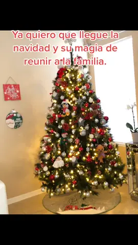 Ya pronto es navidad y llega la magia. #navidad #merrychristmas #espiritunavideño #familia #fiesta #santaclaus #fyp #fypシ #parati #paratii #foryou