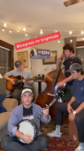 what have we done #mrbrightside #thekillers #cover #bluegrass