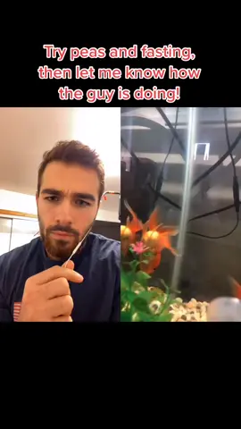 #duet with @naven.pheng Tag in an update video in three days if its not working out well! #fish #goldfish #fatfish