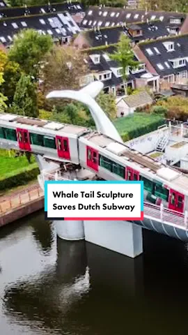 Whale tail sculpture saves Dutch metro train. 📷: Getty