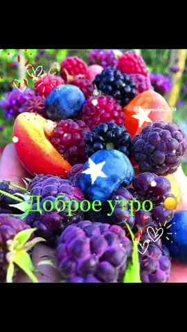 #будьтесчастливывместе #новинки #tiktok #врекомендации #утродоброе #сердце #доброевсем