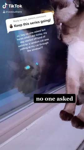 Reply to @rojo_samo i think i’m gonna challenge myself to make these for the whole month of november. what do y’all think?? #atx #siamese #fyp #Vlog