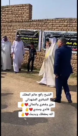 أسد قبيلة الساده المشاهده الحسينية الهاشمية الشيخ رافع حاتم المطلك شيخ عموم عشيرة السادة البوشبلي