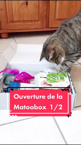 Belle découverte, -5€ sur votre 1ère Matoobox avec le code CRAZYCAT5 #bebecrazycat  #matoobox  #catfood