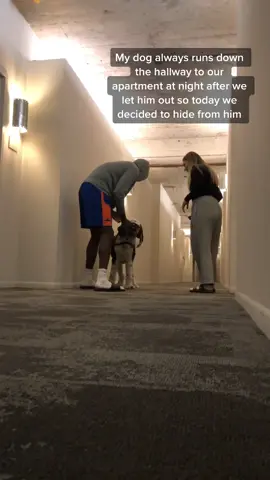 don’t worry- he found us. #dog #dogchallenge