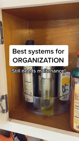 Habits, maintenance, organizers, how to get started- my free class covers it all! #cc #organizeit #organized #organization #oils #turntable #clean