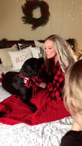 🥰 My family | Indoor Christmas Photoshoot 🎄 #dog #blacklab #christmasphotoshoot #photoshoot
