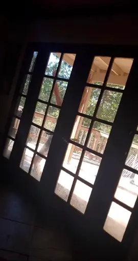 just another video by @little.kayla.bear catching me dancing with ear buds in while sanding my deck #crazymom #danceitoff #noshame