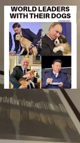 #foryoupage #fyp #xyzbca #funny #dog