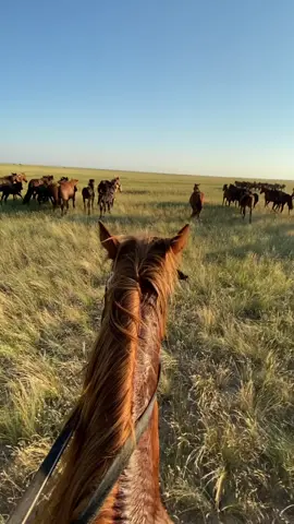 Архив жазда түсірілген...к/х Рахымбек