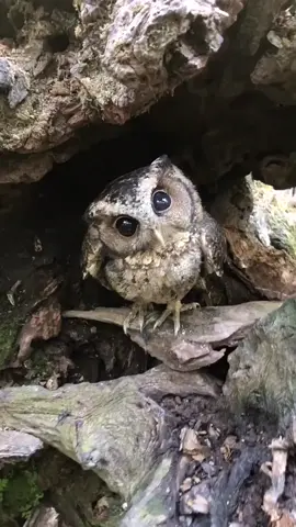 🥰🥰