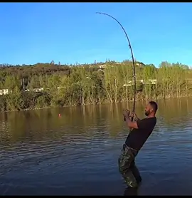 Pull pull 💪💪 #catfish #catfishing #yurigrisendi