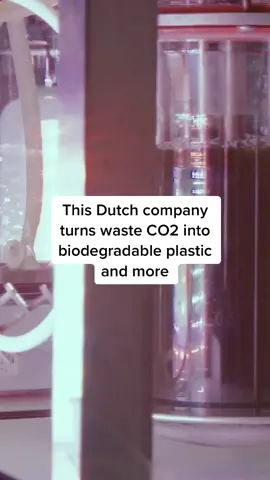 The bacteria turns CO2 into useful chemicals like polymers #plastic #biodegradable #carbon #netherlands #environment