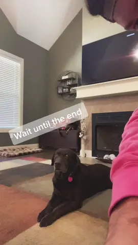 my dogs reads lips so it’s all good #RecordsDay #fyp #dogsoftiktok